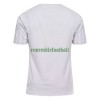 Maillot de Supporter Danemark Extérieur Coupe du Monde 2022 Pour Homme